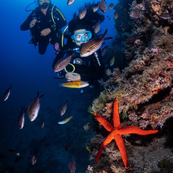 Bautizo de Buceo en Ametlla de Mar