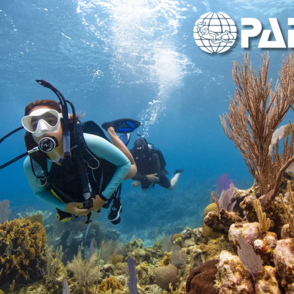 Curso de buceo open water diver en salou