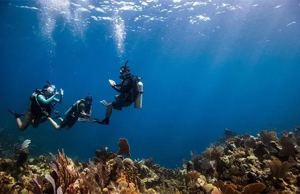 Curso avanzado de buceo en Calella de Palafrugell oficial PADI 2026