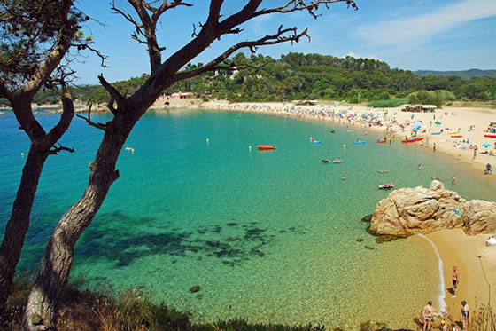 Curso de buceo Open Water Diver en Palamos