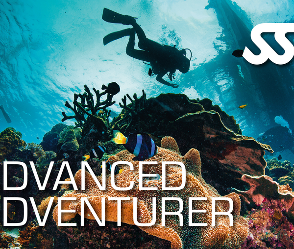 Curso avanzado de buceo en Palamós