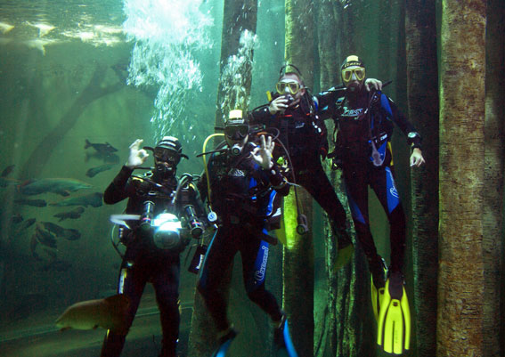 Curso de buceo en Zaragoza