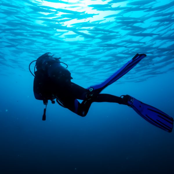 Curso de buceo Open Water Diver en l'Estartit