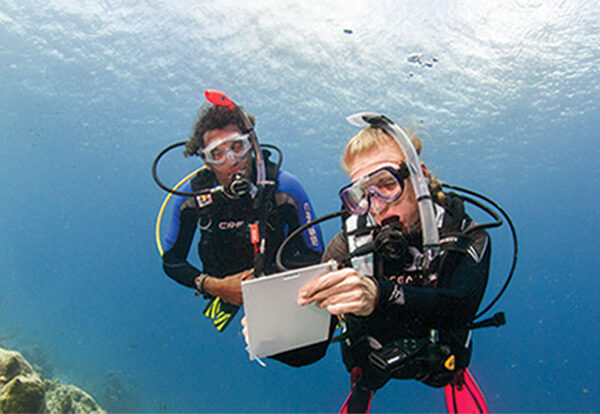 Curso PADI Open Water Diver en Barcelona